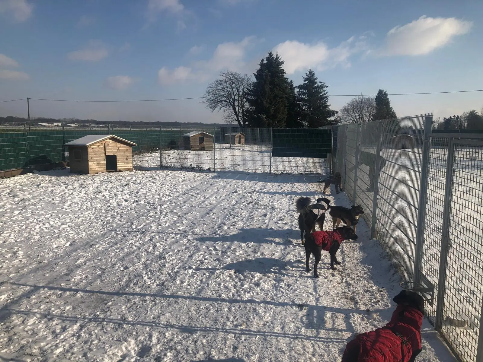 Bild zeigt eingezäunten Hundeauslauf im Winter
