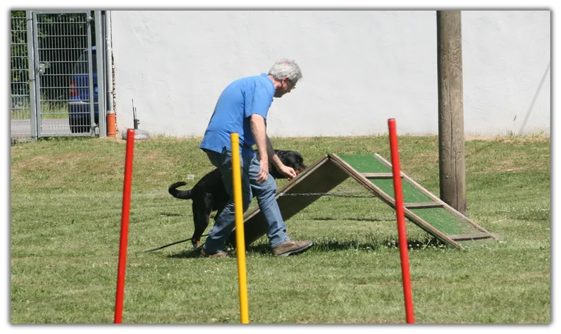 Hundetraining 4