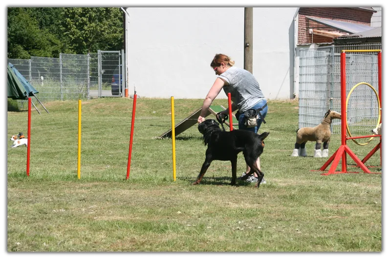 Hundeschule Spaß 5